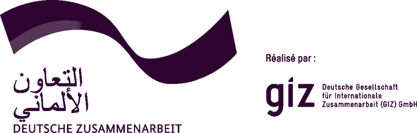 Deutsche Gesellschaft für Internationale Zusammenarbeit (GIZ), German development agency